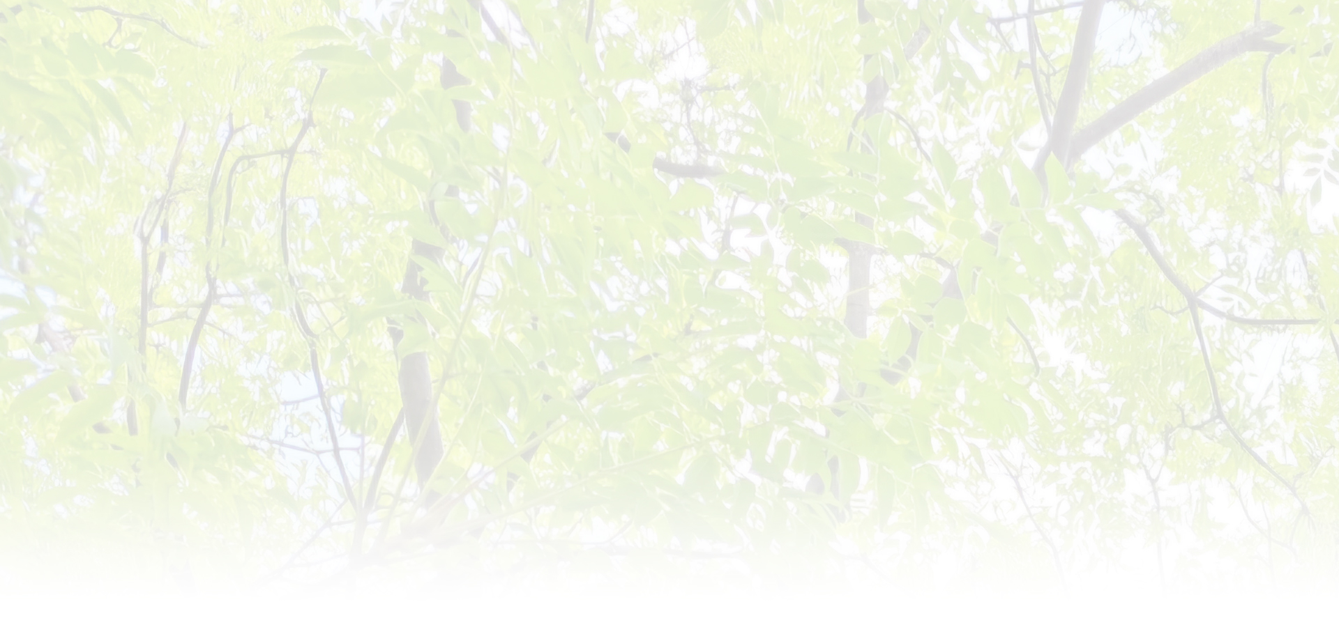 年末年始休業について